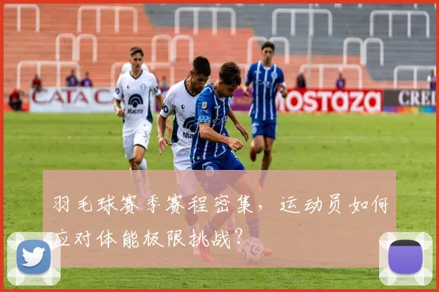 羽毛球赛季赛程密集,运动员如何应对体能极限挑战?